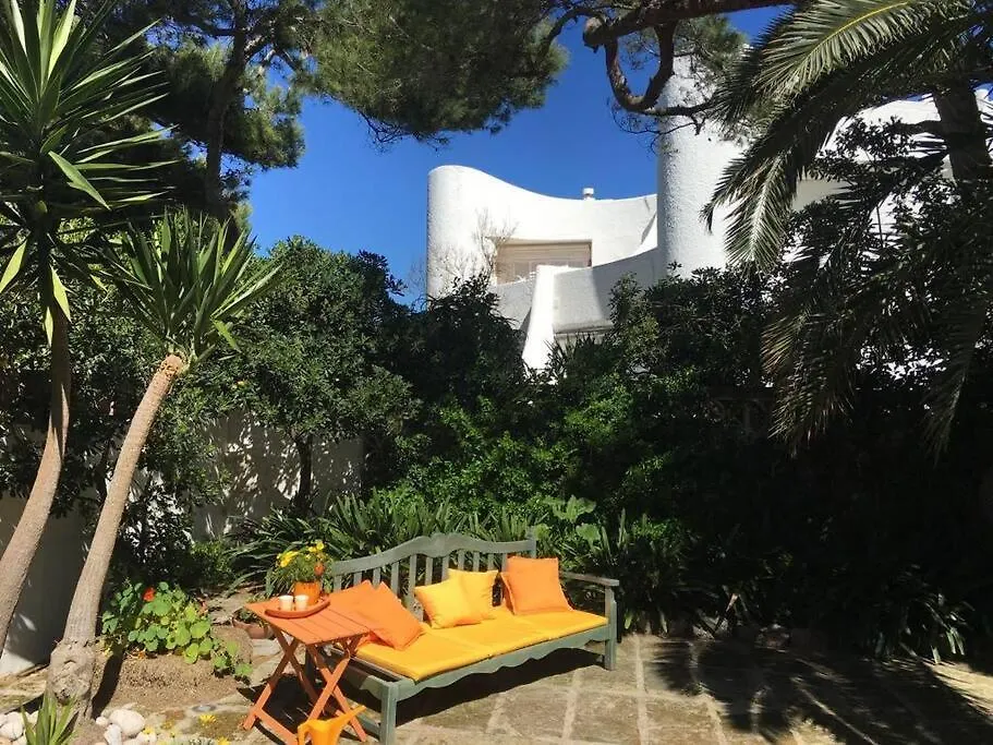 Casa Pino Mallorca Playa de Muro  Tatil Evi